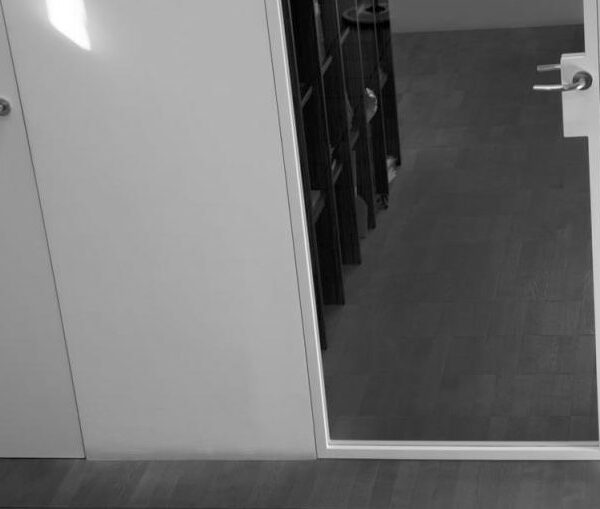 Glastür E-Max frontal