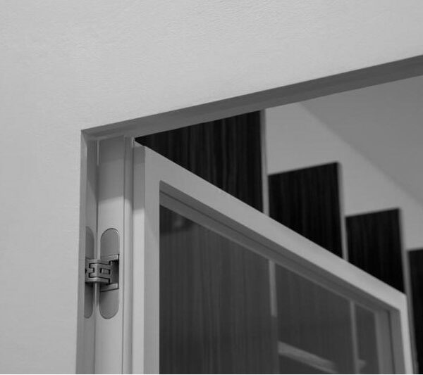 Glastür E-Max scharnier