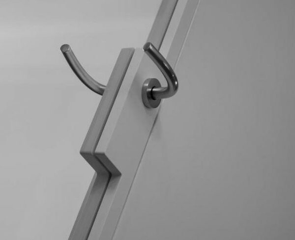 Glastür E-Max Griff